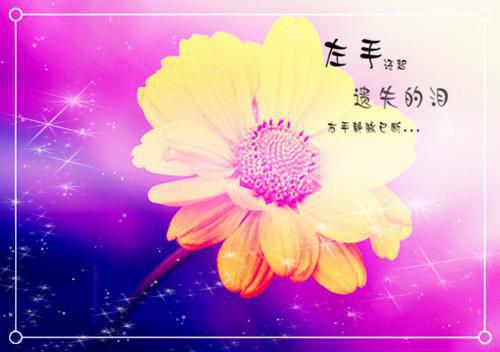 老公的未婚妻将我打到流产（夏洁傅齐川）最终终章全书在线下载阅读无干扰