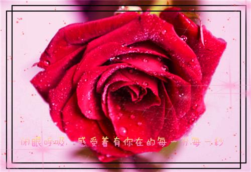 我主动退学后，能用AI算命的系花舍（全网,乔诗诗,温絮）已完结，我主动退学后，能用AI算命的系花舍已完结