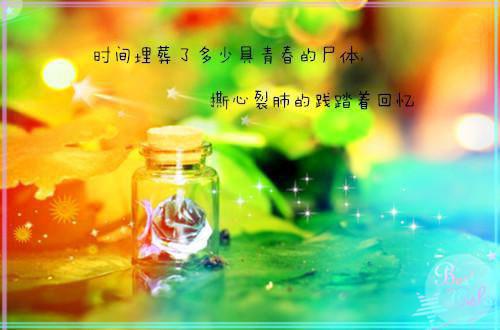 诸天第一仙高口碑最新章节列表_诸天第一仙高口碑全文免费阅读(张扬雪飞霜)