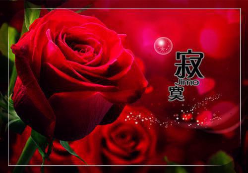 (番外)+(全文)爱意散尽惹流年：笔趣阁txt下载阅读_(梁珈君谢斯南)爱意散尽惹流年：笔趣阁免费阅读全文最新章节列表_笔趣阁（梁珈君谢斯南）