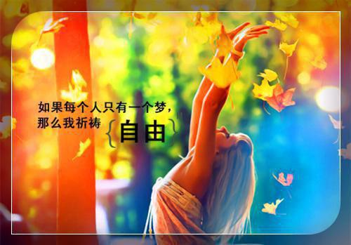 盛景太匆匆：前文+后续最新章节列表_盛景太匆匆：前文+后续全文免费阅读(宁若曦沈砚舟)