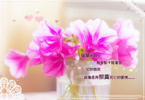 小说后续全文 日暮青山绿渐隐：最新章节小说后续全文许星森纪冰雪许书阳完整版在线阅读_许星森纪冰雪许书阳（日暮青山绿渐隐：最新章节）完结阅读无弹窗大结局
