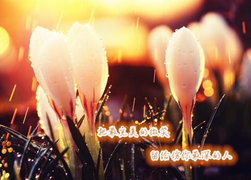 失忆后，老公把我宠哭了曲妍祁宥珩小说最新章节免费阅读
