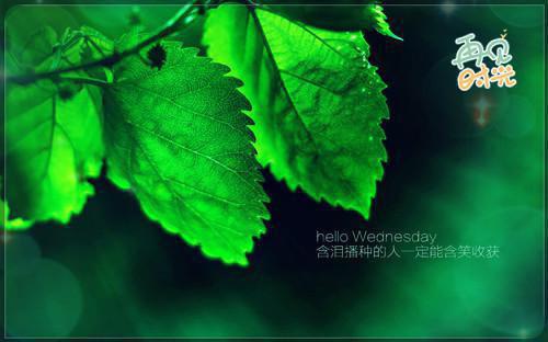 穿书 ：女主恨我，女二虐待我白玉瓶,修为,林墨染推荐完本_已完结穿书 ：女主恨我，女二虐待我（白玉瓶,修为,林墨染）