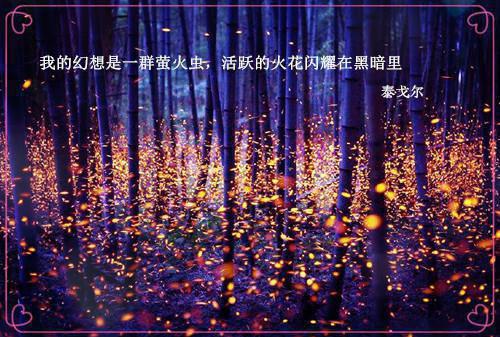 全本若我沉溺于你的渊灵魂人物（沈若汐陶屿澈）最新章节列表_全本若我沉溺于你的渊灵魂人物全文阅读