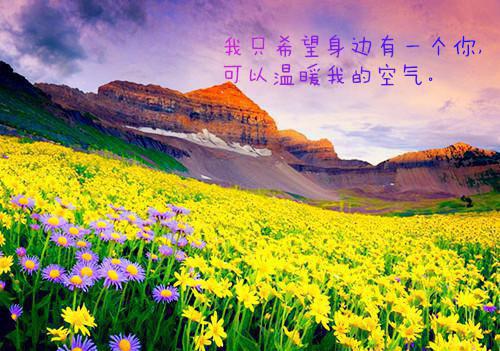 何以入君心：（乔青蕴傅时宴谢晚虞）已完结，何以入君心：已完结