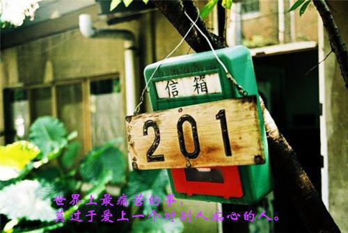 爱如三千繁花尽散：高分完本（江浅宁裴遇舟）全文免费_（江浅宁裴遇舟）爱如三千繁花尽散：高分完本后续阅读（江浅宁裴遇舟）