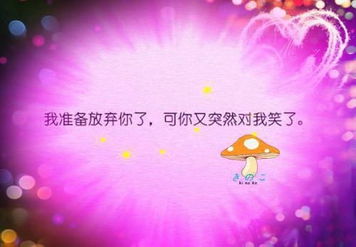 行也思君坐也思君：结局+（姜绾歌沈辞州）终章阅读无广告