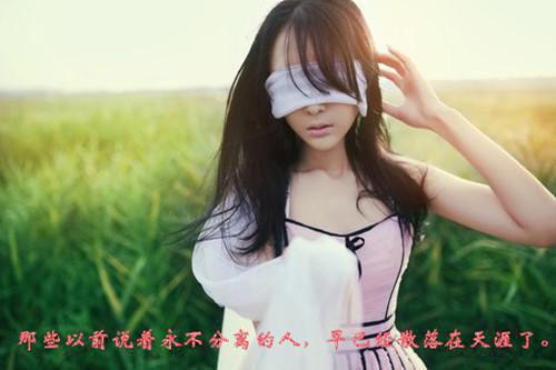 全本盛景太匆匆小编（宁若曦沈砚舟）最新章节列表_全本盛景太匆匆小编全文阅读