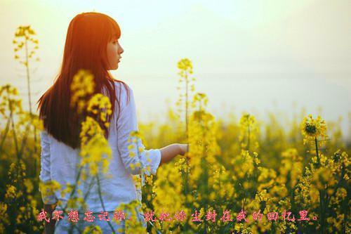 最新章节重活一世，大义凛然的老公悔疯了（又名：重回八零，放走绑匪的老公悔疯了）（柳晓霜,霍正义,高秀月）_重活一世，大义凛然的老公悔疯了（又名：重回八零，放走绑匪的老公悔疯了）柳晓霜,霍正义,高秀月最新章节