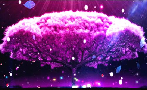 完结文爱在婚情蚀骨时最新章节列表_完结文爱在婚情蚀骨时全文免费阅读（乔时念薄靳言）
