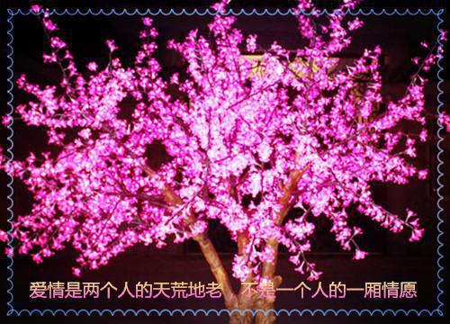 爱如旧梦结局+番外(秦林夏央央)全文秦林夏央央读无弹窗结局_秦林夏央央读结局章节列表_笔趣阁（爱如旧梦结局+番外）