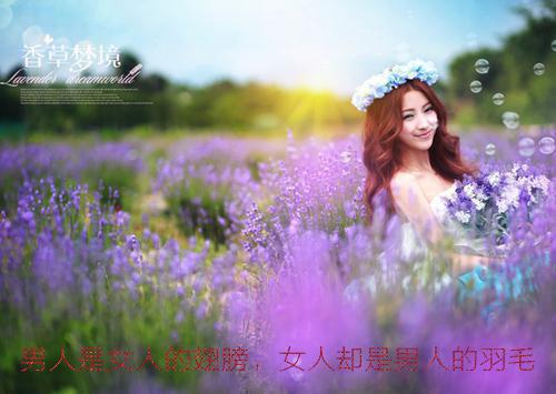 风起时爱已荒芜：精选小说（盛青禾裴景辞）全章免费版阅读