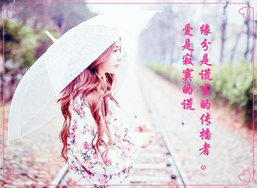 (番外)+(全文)先婚后爱，司总买一送一全文免费阅读无弹窗大结局_先婚后爱，司总买一送一最新章节列表_笔趣阁