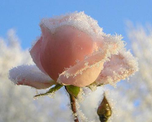 (番外)+(全文)非常权途免费下载阅读_(陈大平曾家辉)陈大平曾家辉最新章节列表_笔趣阁（陈大平曾家辉）