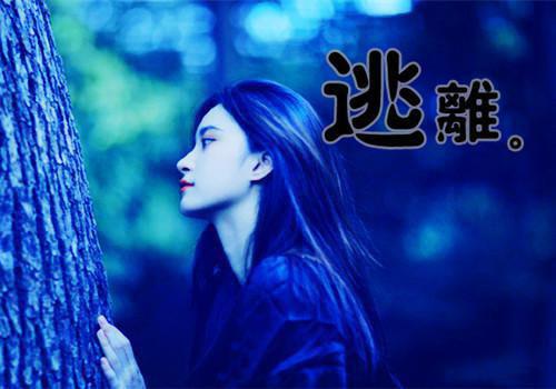 猫耳尖尖的小说怒嫁渣男小叔，我被深情溺爱宠翻天顾永霖,秦文德,秦语跟全文在线阅读