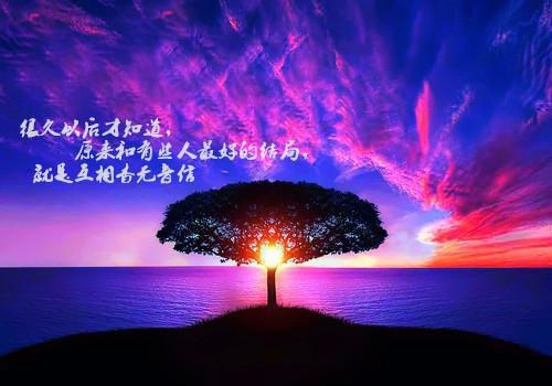 有糖爱小说的小说穿回我妈的少女时代苏婉程浩全文在线阅读