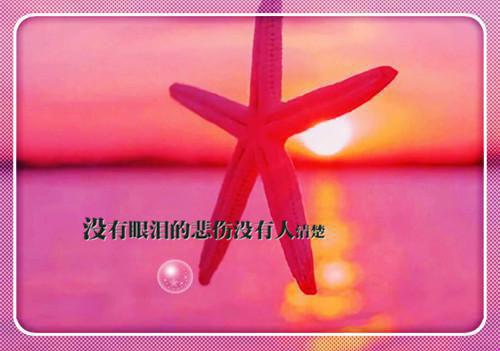 苏念虞的小说我盼与你看朝暮：免费+番外苏念虞季司寒全文在线阅读