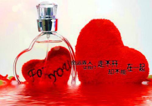 结婚纪念日，妻子身上是她竹马的吻痕林凝霜乔宇推荐完本_已完结结婚纪念日，妻子身上是她竹马的吻痕（林凝霜乔宇）