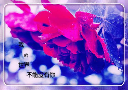 完结文倦鸟不归，孤云自远：结局+番外+续集最新章节列表_完结文倦鸟不归，孤云自远：结局+番外+续集全文免费阅读（乔亦宸秦珈蓝）