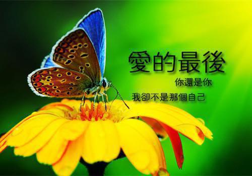 全本暗恋逢光：免费+后续（夏未央江司聿）最新章节列表_全本暗恋逢光：免费+后续全文阅读