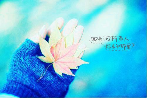 人面桃花长相忆：后续+必读全文阅读（阮雾黎闻砚辞）最新章节_人面桃花长相忆：后续+必读全文阅读