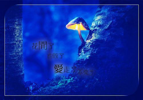 (番外)+(全文)与春光同梦宁若薇傅砚修江攸宁+番外与春光同梦宁若薇傅砚修江攸宁免费阅读无弹窗大结局_与春光同梦宁若薇傅砚修江攸宁结局+番外最新章节列表_笔趣阁与春光同梦宁若薇傅砚修江攸宁