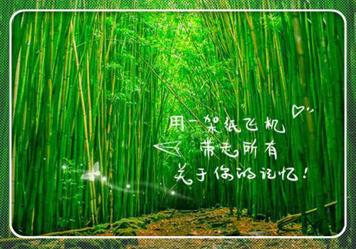 （叶云妶凌璟尘）冷面美人：王爷请过招全文+后续