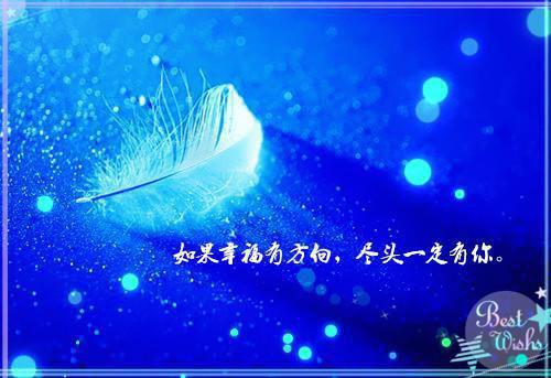 小说临危受命，从自动步枪开始崛起全章节免费阅读