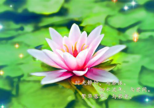 (番外)+(全文)阮雾梨闻砚辞：热门小说+番外阮雾梨闻砚辞：热门小说免费阅读无弹窗大结局_阮雾梨闻砚辞：热门小说结局+番外最新章节列表_笔趣阁阮雾梨闻砚辞：热门小说