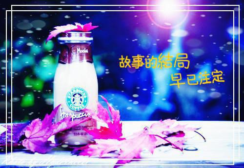 冲喜医妃：这柔弱世子我要了！全本免费云葭苏棠小说全文试读