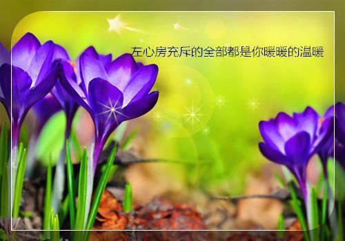 最后的吻，是告别：彩蛋（苏娆时砚清）已完结，最后的吻，是告别：彩蛋已完结