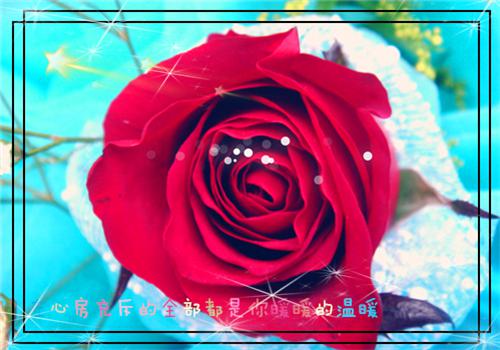 东直门下小男人的小说四合院：签到99天，我就是爷晓白,西亭,聂从军全文在线阅读