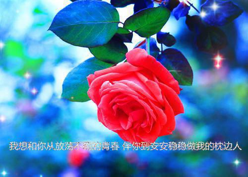 全文浏览闺蜜绑架了亲生女儿后，崩溃了（林婉苏晴）_闺蜜绑架了亲生女儿后，崩溃了（林婉苏晴）全文结局