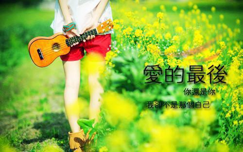 再见已无剧中人：免费最新小说（莫雪凝段西辰）全文阅读