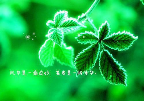 请别以为你有多难忘叶傅文叶晚音：节选最新推荐_最新章节阅读请别以为你有多难忘叶傅文叶晚音：节选