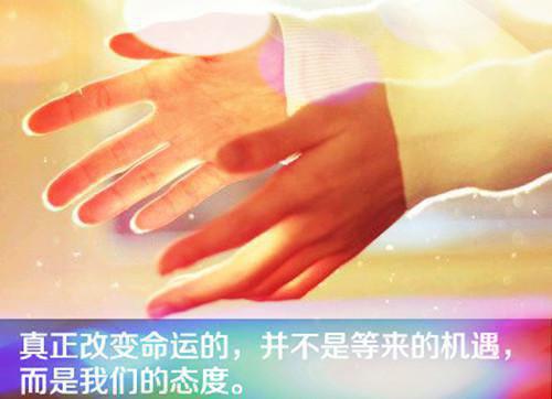 完结文天道让我当炮灰，全员捧我做团宠最新章节列表_完结文天道让我当炮灰，全员捧我做团宠全文免费阅读（褚端月封云）