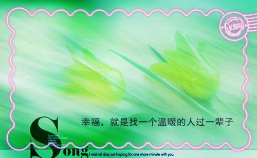 流光错系断蓬之舟：前言+后续+结局最新章节列表_流光错系断蓬之舟：前言+后续+结局全文免费阅读(沈煜谢晚烟)