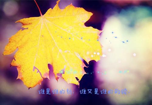 (番外)+(全文)沈青禾霍沉洲：结局+番外独家出品_(沈青禾霍沉洲：结局+番外独家出品)沈青禾霍沉洲最新章节列表_笔趣阁（沈青禾霍沉洲：结局+番外独家出品）