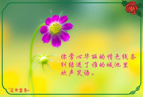 人面桃花长相忆：免费结局+后续最新小说（阮雾梨闻砚辞）全文阅读