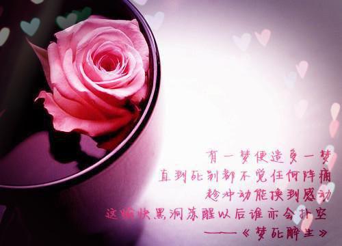 老公给干妹妹夹了只虾，我直接离婚顾洺陆询江柔推荐完本_已完结老公给干妹妹夹了只虾，我直接离婚（顾洺陆询江柔）