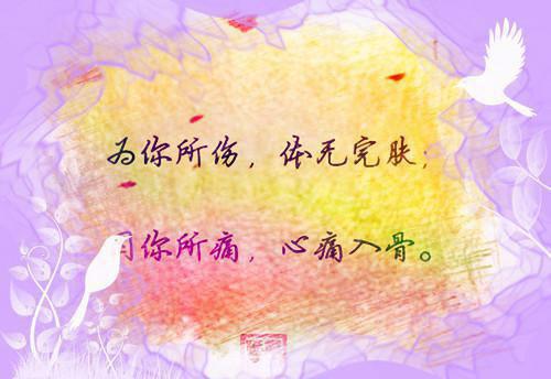 你我本就完结好书沈少,阿芷,沈氏