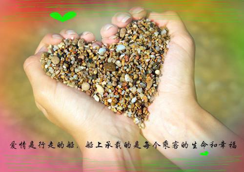 江清瑟谢长离：完结分享（江清瑟谢长离）终章阅读无广告