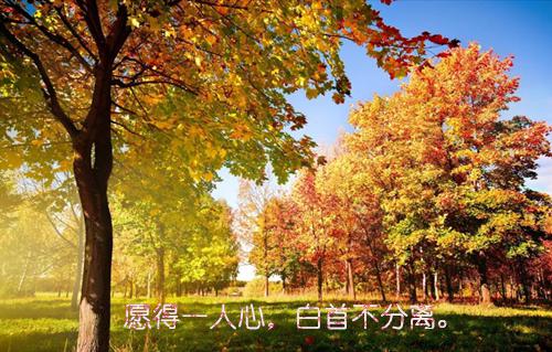 (番外)+(全文)池浅周斯越txt下载阅读_(池振,李姐,晓珊)池浅周斯越最新章节列表_笔趣阁（池振,李姐,晓珊）
