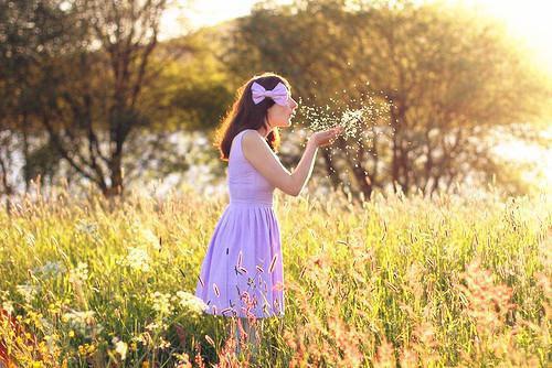 (番外)+(全文)夏妍菲杨晟书免费下载阅读_（方鹤安夏妍菲）夏妍菲杨晟书最新章节列表_笔趣阁（方鹤安夏妍菲）