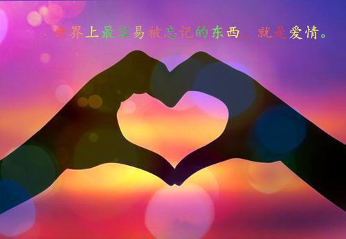 全本苔藓爬满旧日诺言：人气节选（顾砚廷慕晚夏）最新章节列表_全本苔藓爬满旧日诺言：人气节选全文阅读