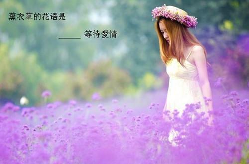 霍聿年祝沐雪（又名：淡月烟雨寄朝朝）已完结_霍聿年祝沐雪（又名：淡月烟雨寄朝朝）最新章节列表