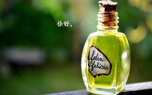 谢绾凝的小说给摄政王当通房丫鬟五年后我逃了番外+完结谢梨赫连城谢绾凝全文在线阅读