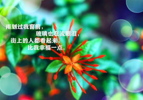 最新章节沈恪得到神秘异术传承（罗盘中,周浩,魏老五）_沈恪得到神秘异术传承罗盘中,周浩,魏老五最新章节