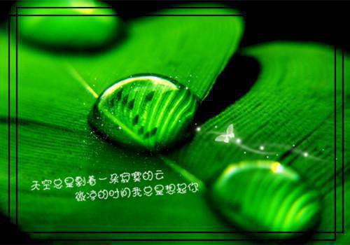 (番外)+(全文)生灵守望：小说全文+后续下载阅读_(陈恩双双)生灵守望：小说全文+后续最新章节列表_笔趣阁（陈恩双双）